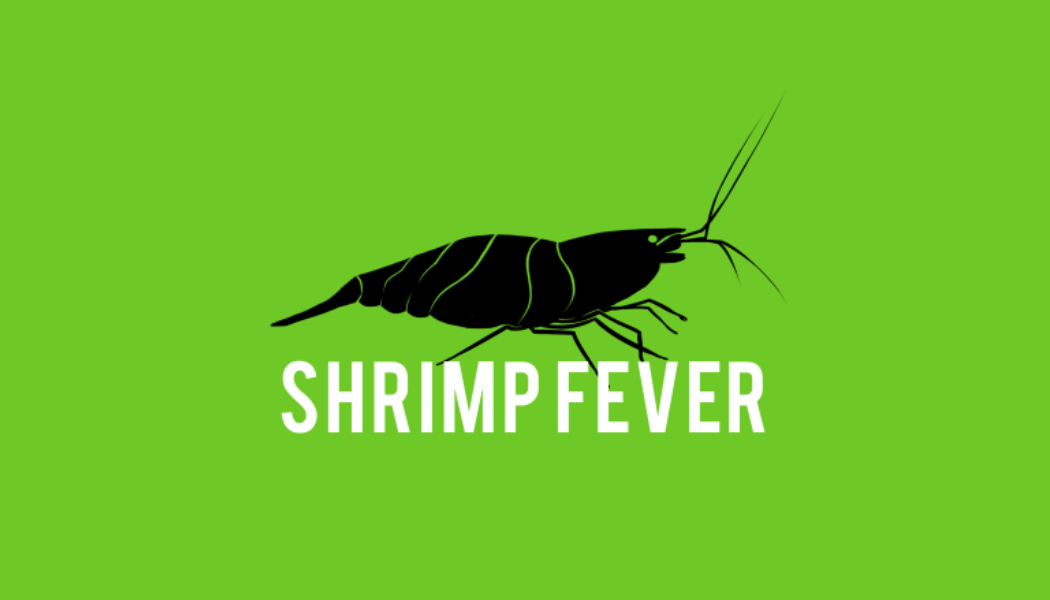 50+ Live Freshwater Ghost Shrimp; FREE SHIPPING